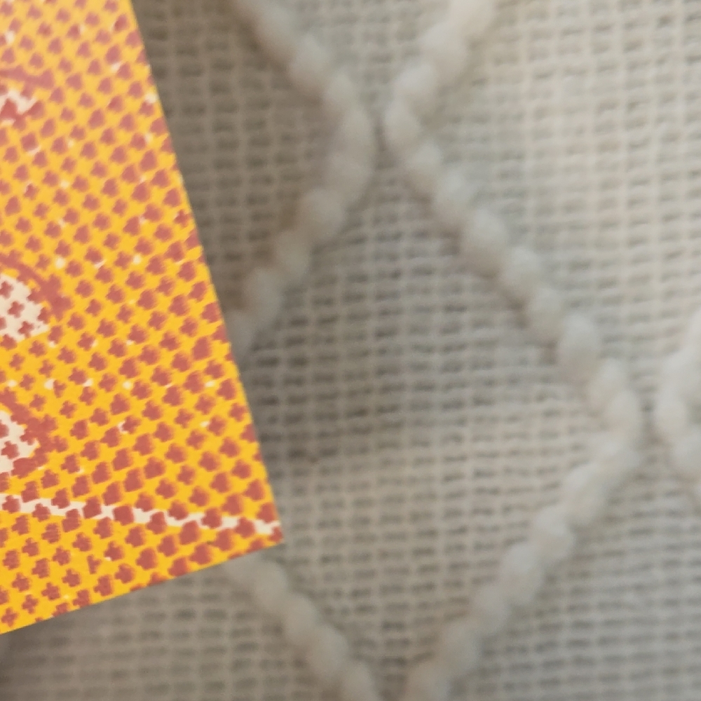 CAKE Concert Poster with Tiger and Woman - Picture 5 of 7